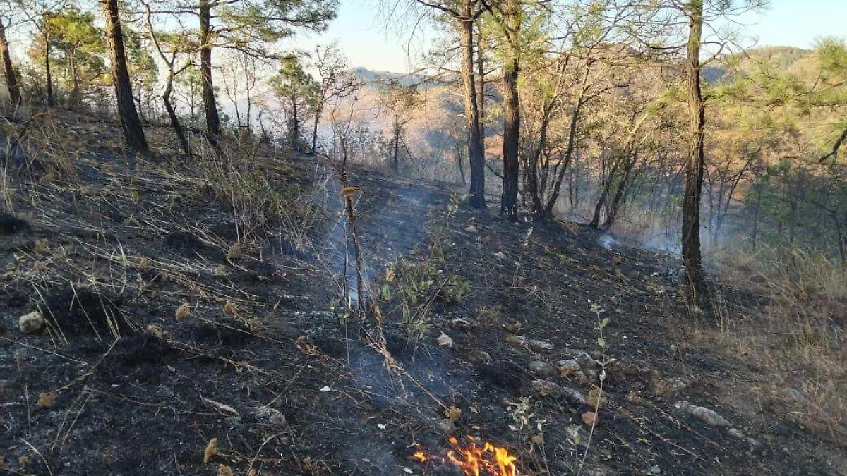 incendio santa maría 2